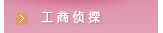 工商侦探