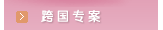 跨国专案
