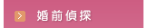 女子偵探公司-婚前偵探