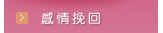 女子偵探公司-感情挽回