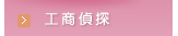 女子偵探公司-工商偵探